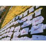 ���ٻ��Ҵ�˭�