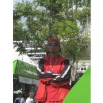 ���ٻ��Ҵ�˭�